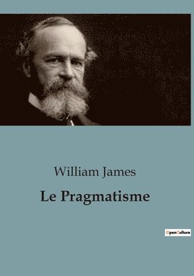 bokomslag Le Pragmatisme