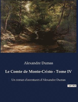 bokomslag Comte de Monte-Cristo - Tome IV