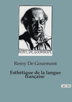 bokomslag Esthétique de la langue française