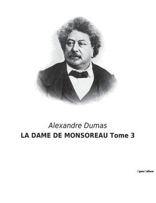bokomslag DAME DE MONSOREAU Tome 3