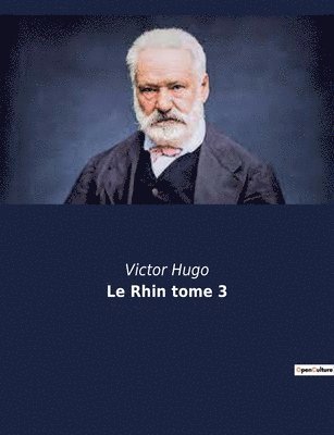 bokomslag Rhin tome 3