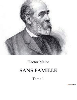 Hector Malot - Sans Famille, Häftad