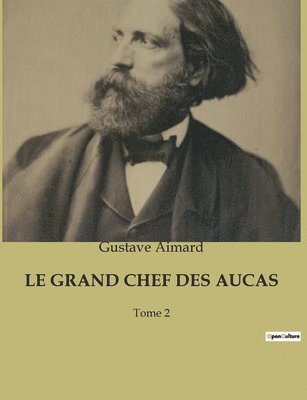 bokomslag Le Grand Chef Des Aucas