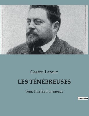 bokomslag Les Ténébreuses