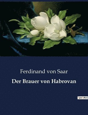 bokomslag Der Brauer von Habrovan