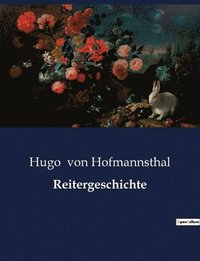bokomslag Reitergeschichte