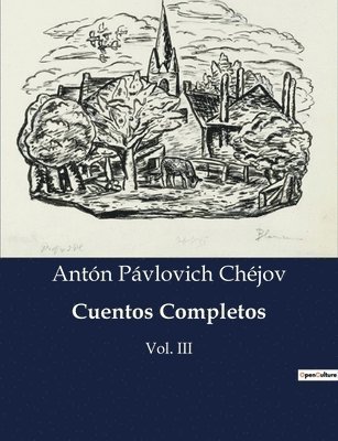 bokomslag Cuentos Completos: Vol. III