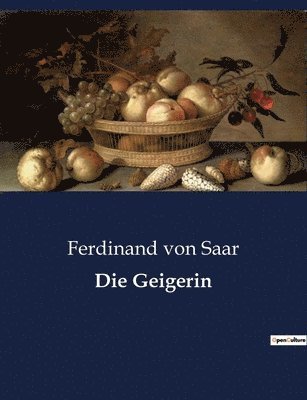 bokomslag Geigerin