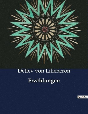 bokomslag Erzählungen