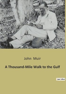 John Muir - Thousand-Mile Walk to the Gulf, Häftad