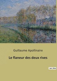 bokomslag flaneur des deux rives