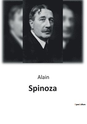 bokomslag Spinoza
