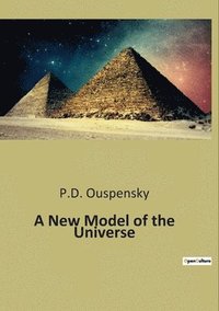 bokomslag New Model of the Universe