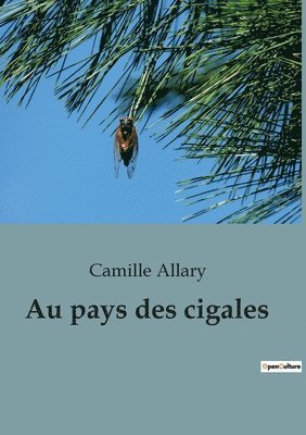 bokomslag Au pays des cigales