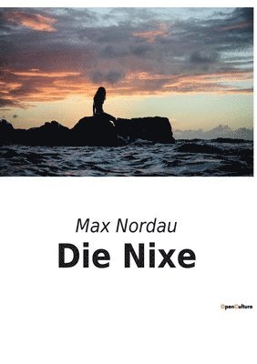 bokomslag Die Nixe