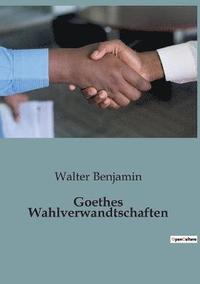 bokomslag Goethes Wahlverwandtschaften