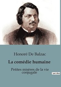 bokomslag Petites misères de la vie conjugale