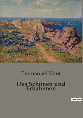 bokomslag Des Schönen und Erhabenen