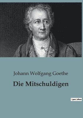 Mitschuldigen