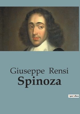 bokomslag Spinoza