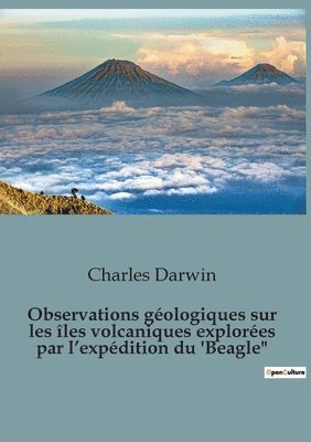 bokomslag Observations géologiques sur les îles volcaniques explorées par l'expédition du 'Beagle
