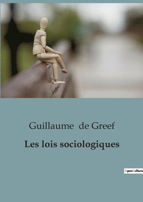 bokomslag Les lois sociologiques