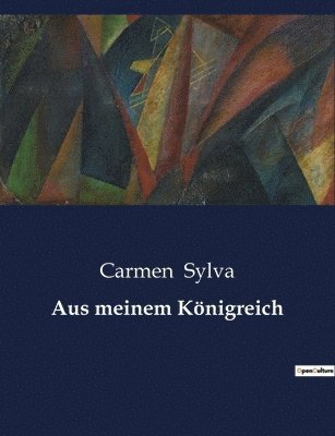 bokomslag Aus meinem Königreich