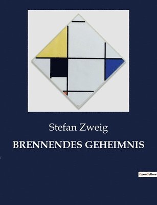 bokomslag Brennendes Geheimnis