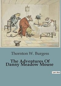 bokomslag The Adventures Of Danny Meadow Mouse