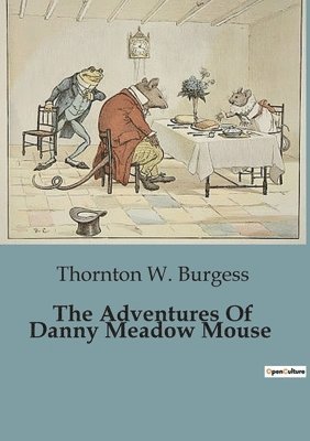 bokomslag Adventures Of Danny Meadow Mouse