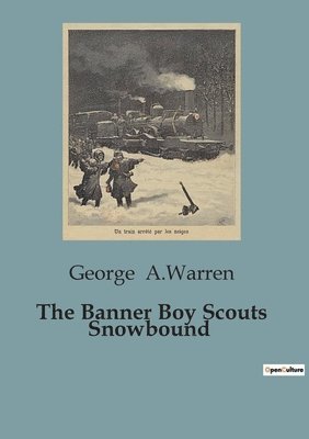 Banner Boy Scouts Snowbound