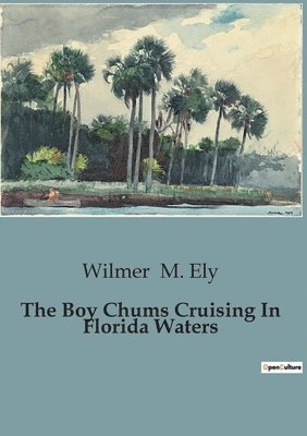 bokomslag Boy Chums Cruising In Florida Waters