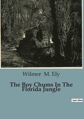 bokomslag Boy Chums In The Florida Jungle