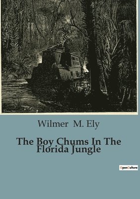 The Boy Chums In The Florida Jungle 1