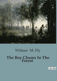 bokomslag Boy Chums In The Forest