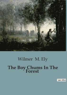 bokomslag The Boy Chums In The Forest