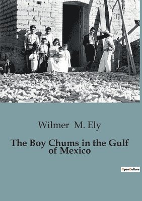 bokomslag Boy Chums in the Gulf of Mexico