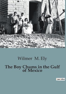 The Boy Chums in the Gulf of Mexico 1