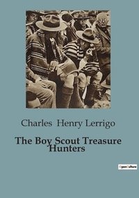 bokomslag Boy Scout Treasure Hunters