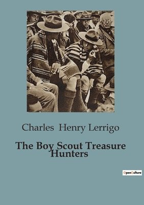 bokomslag Boy Scout Treasure Hunters
