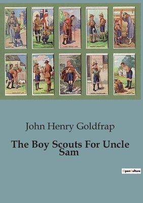 Boy Scouts For Uncle Sam