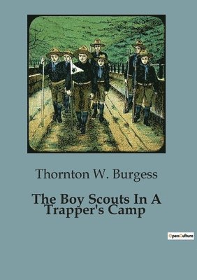 bokomslag Boy Scouts In A Trapper's Camp