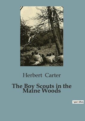 The Boy Scouts in the Maine Woods 1