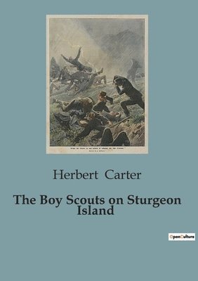 Herbert Carter - Boy Scouts on Sturgeon Island, Häftad