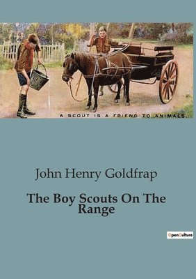bokomslag The Boy Scouts On The Range