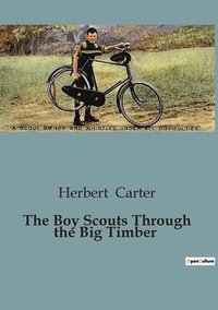 bokomslag Boy Scouts Through the Big Timber