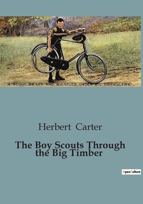 Boy Scouts Through the Big Timber