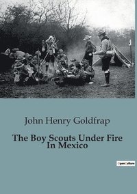 bokomslag The Boy Scouts Under Fire In Mexico