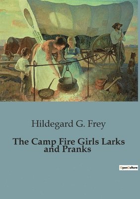 bokomslag The Camp Fire Girls Larks and Pranks