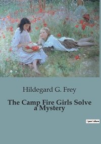 bokomslag Camp Fire Girls Solve a Mystery